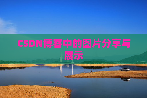 CSDN博客中的图片分享与展示